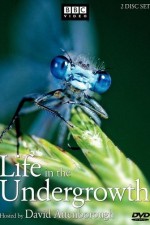 Watch Life in the Undergrowth Myflixer